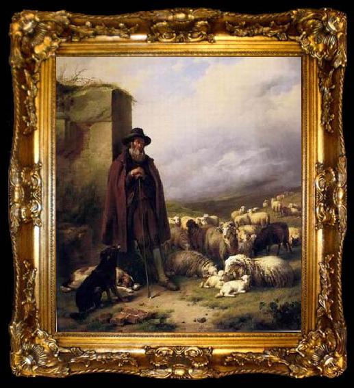 framed  unknow artist Sheep 176, ta009-2